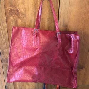 Bravia Purse/Tote